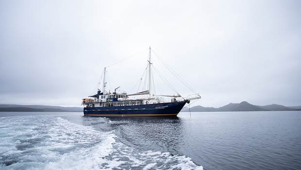 Milford Wanderer cruises through remote Fiordland